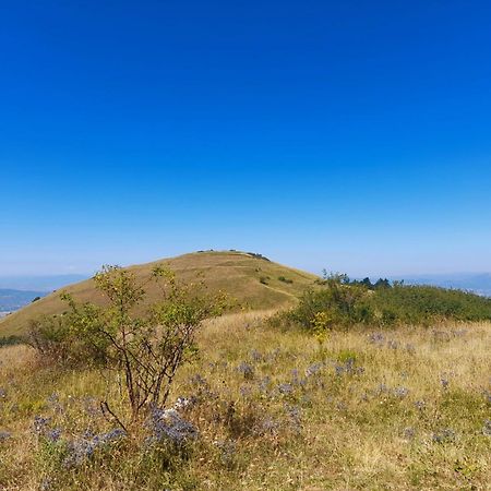 B&B Il Sentiero Di Asyż Zewnętrze zdjęcie
