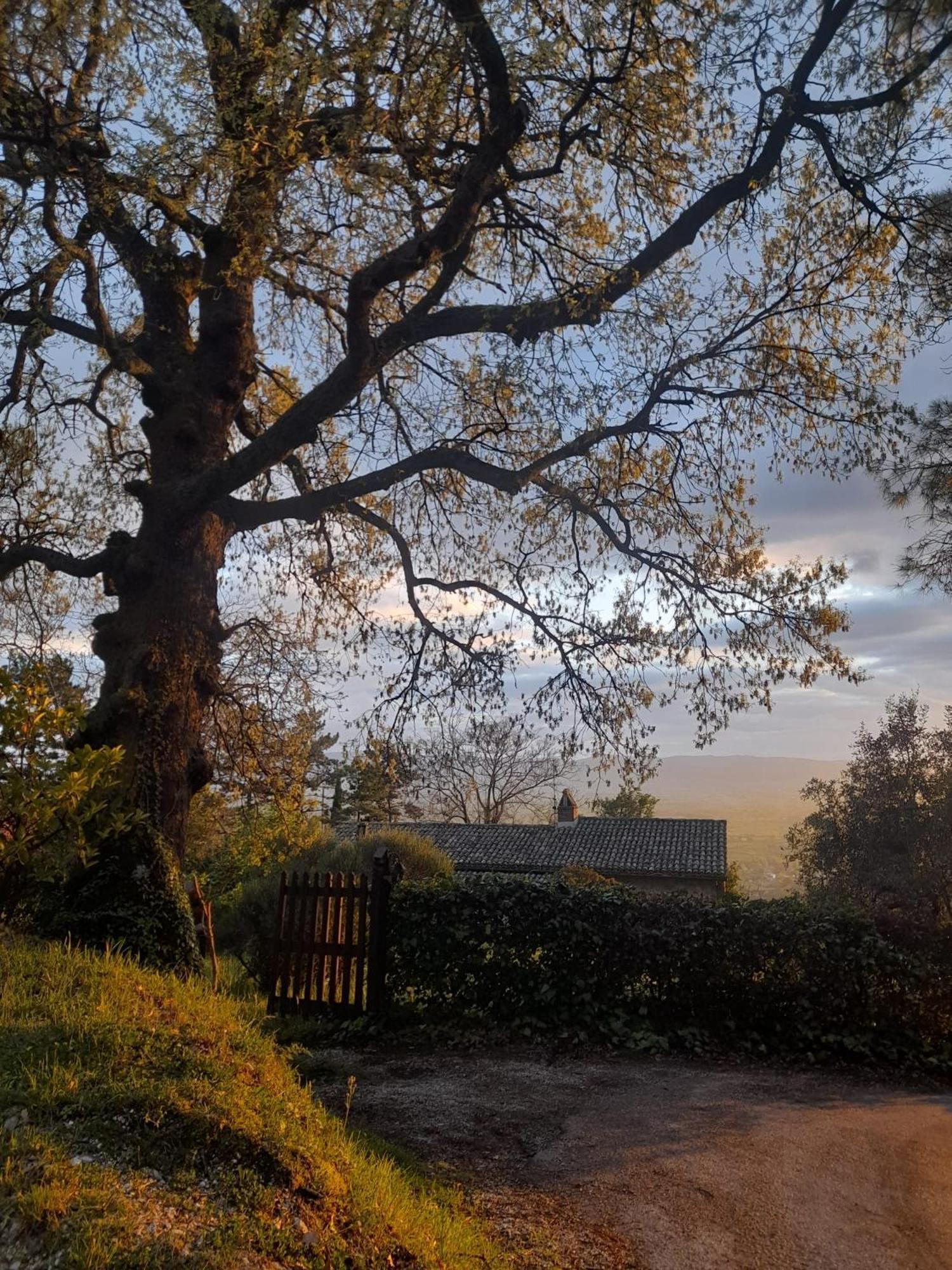 B&B Il Sentiero Di Asyż Zewnętrze zdjęcie