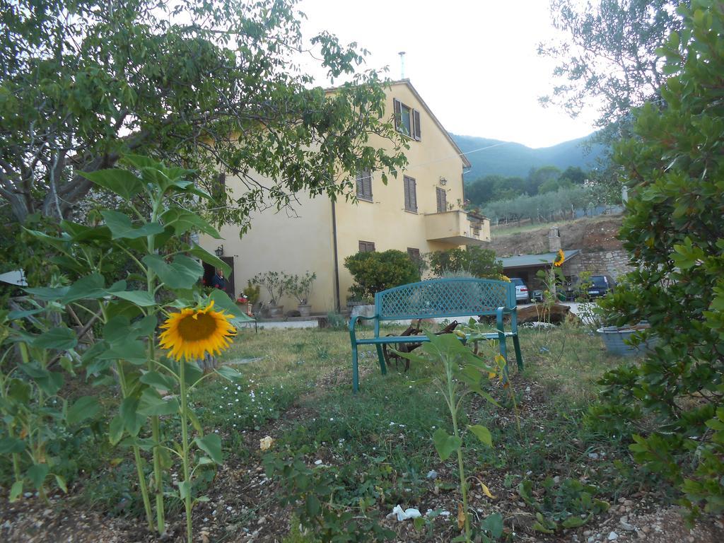 B&B Il Sentiero Di Asyż Zewnętrze zdjęcie